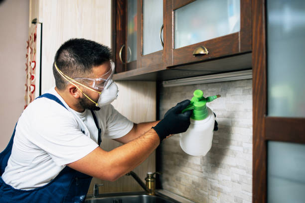Best Affordable Pest Control Services  in Pawnee, IL