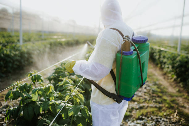 Pest Control for Restaurants in Pawnee, IL